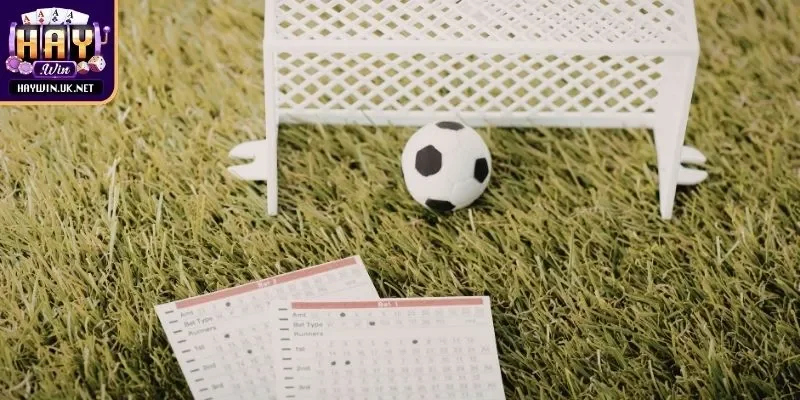 Khám phá kiểu chấp hòa và nửa một