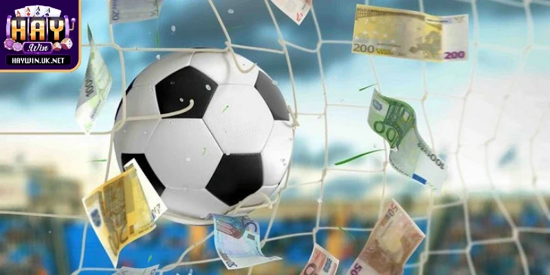 Cung cấp thông tin biến động, tỷ lệ chính xác kịp thời