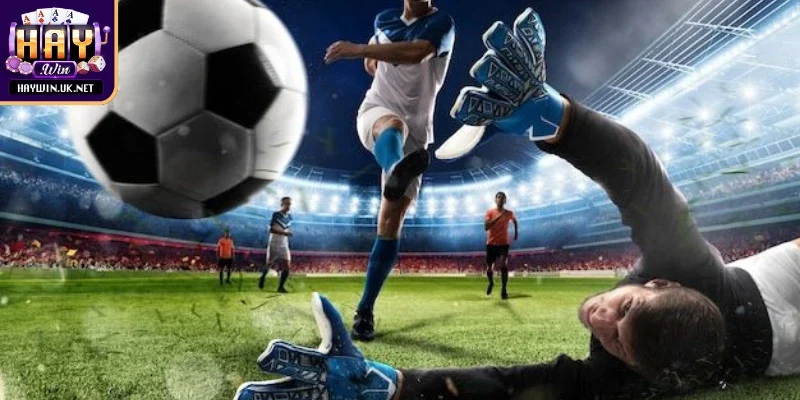 Thể thao Haywin mang trải nghiệm hấp dẫn, đa dạng mỗi lượt