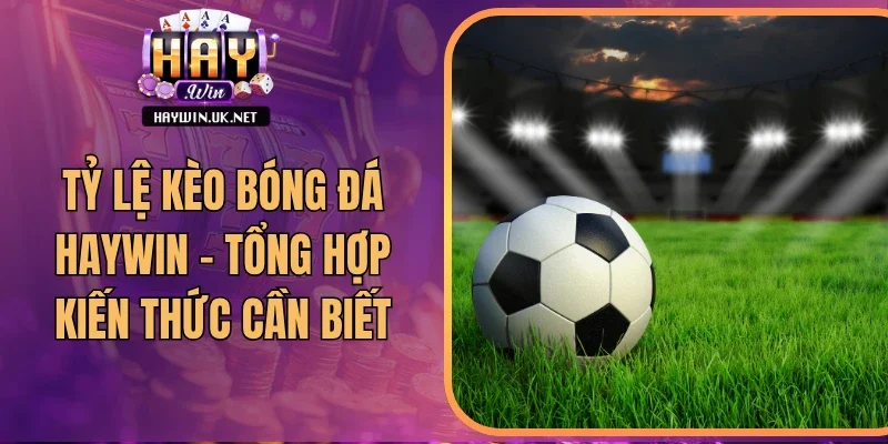 Tỷ Lệ Kèo Bóng Đá Haywin - Tổng Hợp Kiến Thức Cần Biết