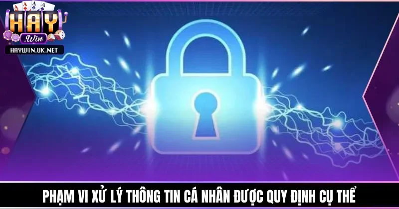 Phạm vi xử lý thông tin cá nhân theo chính sách bảo mật