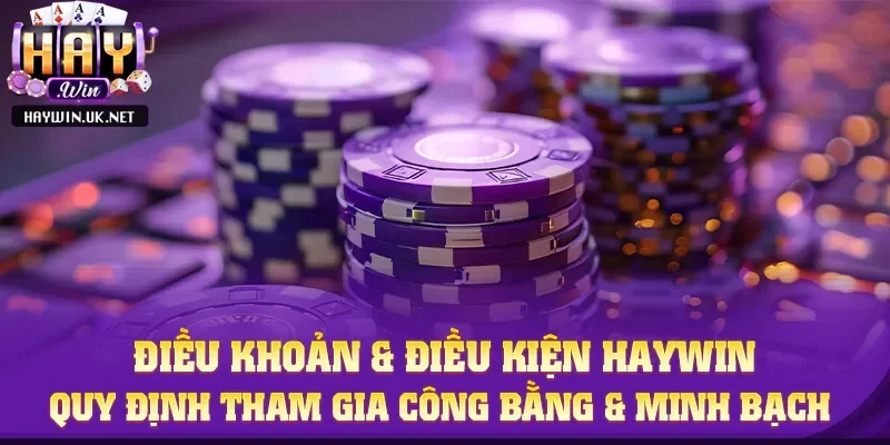Tổng quan điều khoản điều kiện Haywin