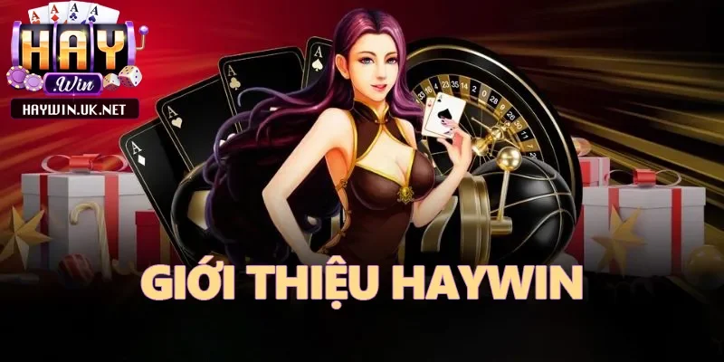 gioi-thieu-haywin